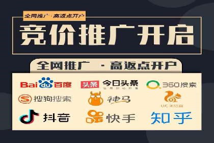 搜索引擎营销（SEM）的投放策略与效果评估——以某行业领先企业的案例分析